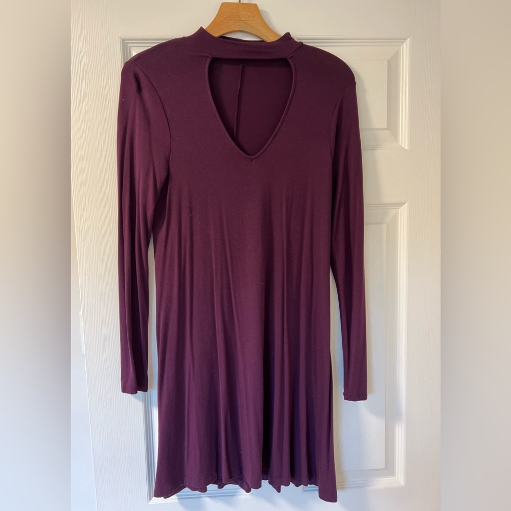 Express Burgundy Dress